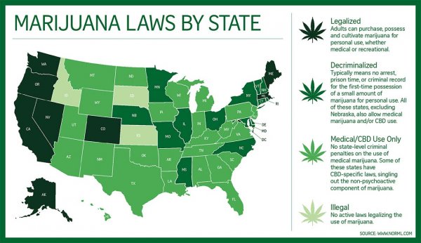 Cameras for Marijuana Grow-Ops and Dispensaries