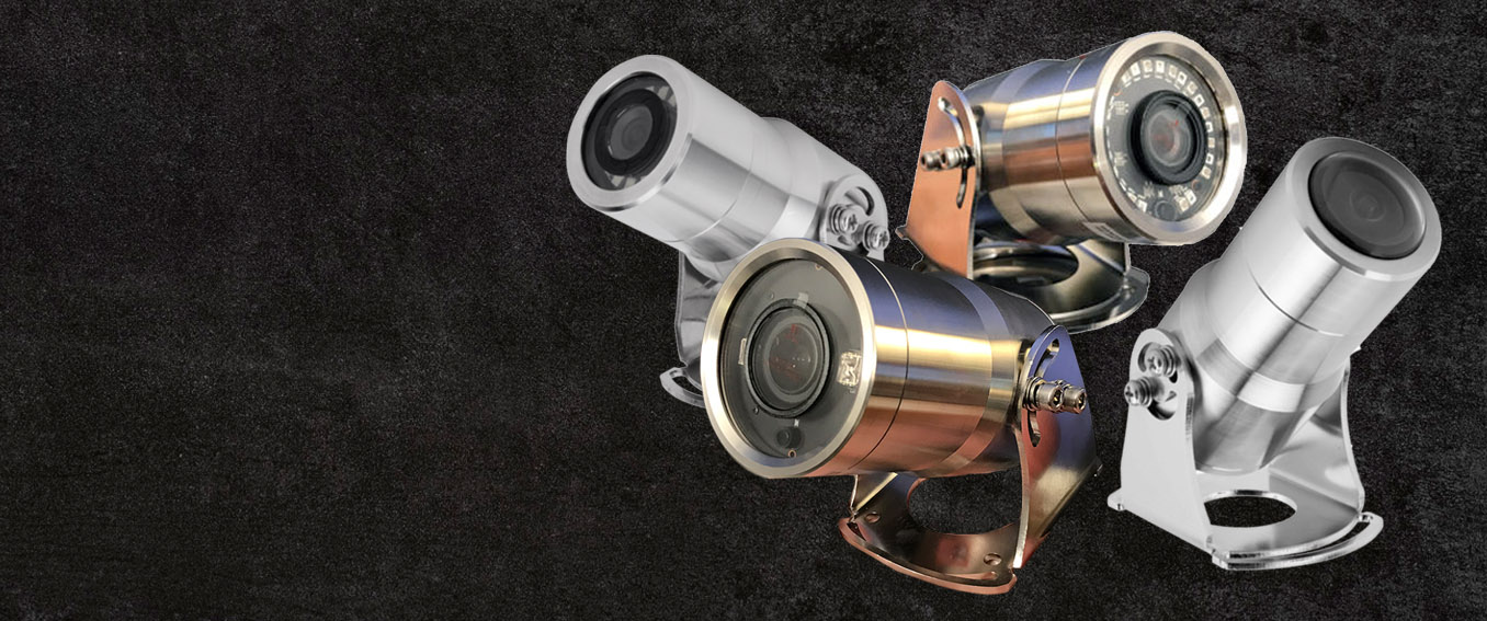 Stainless Steel Security Cameras